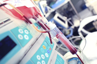 TRANSFUSION SANGUINE